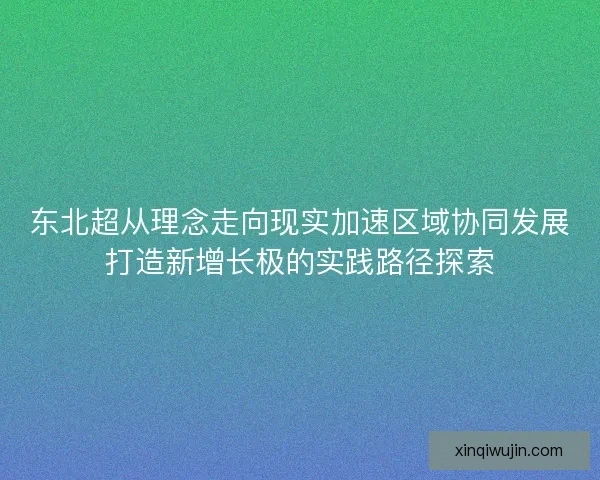 东北超从理念走向现实加速区域协同发展打造新增长极的实践路径探索