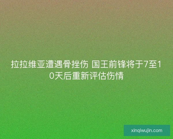 拉拉维亚遭遇骨挫伤 国王前锋将于7至10天后重新评估伤情