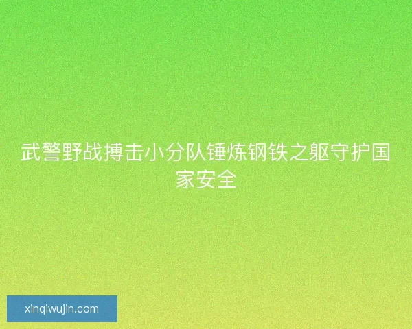 武警野战搏击小分队锤炼钢铁之躯守护国家安全